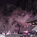 Img_0091_bigger