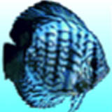 discus