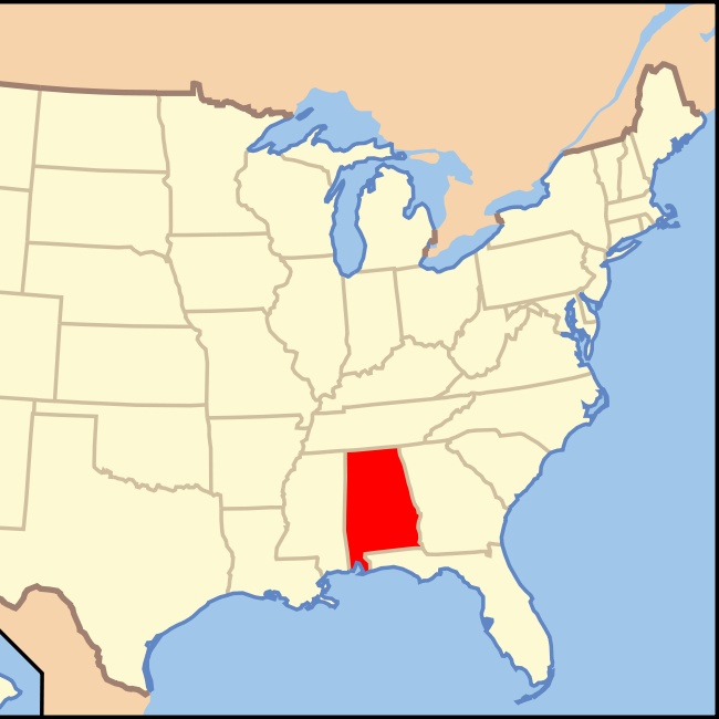 31806738